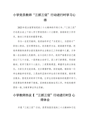 （共三篇）小学党员教师“三抓三促”行动进行时学习心得.docx