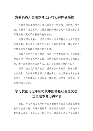 党委负责人主题教育进行时心得体会感悟汇编精选三篇.docx
