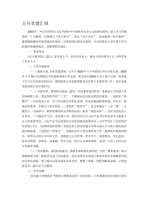 公司党建汇报.docx