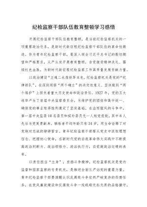 纪检监察干部队伍教育整顿学习感悟(精选三篇)范本.docx