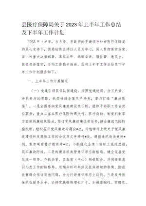 县医疗保障局关于2023年上半年工作总结及下半年工作计划.docx