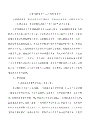 反馈问题整改个人对照检查发言.docx