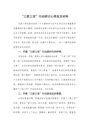 “三抓三促”行动研讨心得发言材料（3篇）.docx