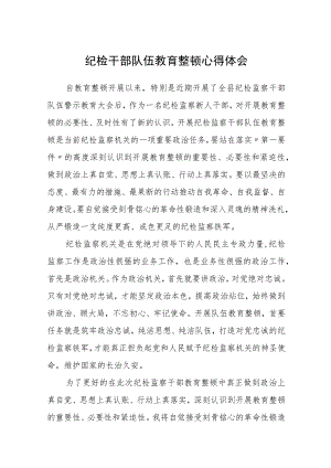 纪检干部队伍教育整顿心得体会范文(共三篇).docx