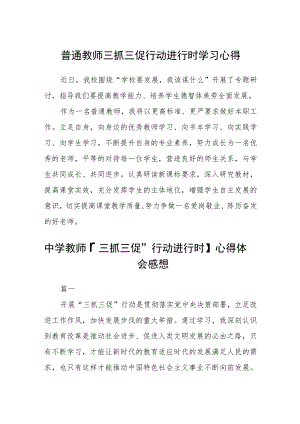 （共三篇）普通教师三抓三促行动进行时学习心得.docx