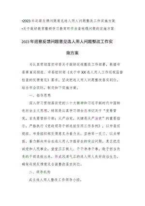 2023年巡察反馈问题意见选人用人问题整改工作实施方案.docx