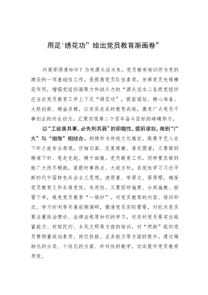 【中心组研讨发言】用足“绣花功”绘出党员教育“新画卷”.docx