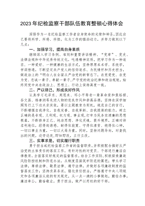 2023年纪检监察干部队伍教育整顿个人心得体会（最新3篇）.docx