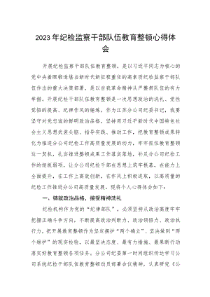 2023年纪检监察干部队伍教育整顿心得体会通用【三篇】.docx