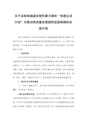 关于实施铸魂固本塑形聚力健体“党建五项行动”为推动高质量发展提供坚强保障的实施方案（20230316）.docx