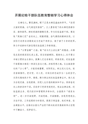 开展纪检干部队伍教育整顿学习心得体会.docx