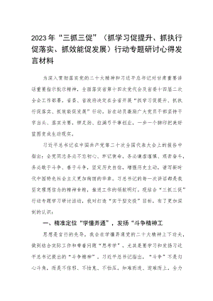 2023年“三抓三促”（抓学习促提升、抓执行促落实、抓效能促发展）行动专题研讨心得发言材料三篇范文.docx