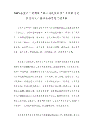 2023年党员干部围绕“凝心铸魂筑牢根”专题研讨发言材料及心得体会感想范文稿2篇.docx