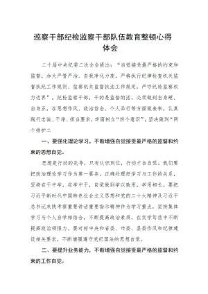 巡察干部纪检监察干部队伍教育整顿心得体会（三篇).docx