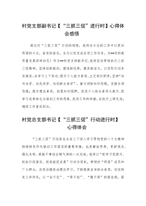村党支部副书记【“三抓三促”进行时】心得体会感悟范文(参考三篇).docx