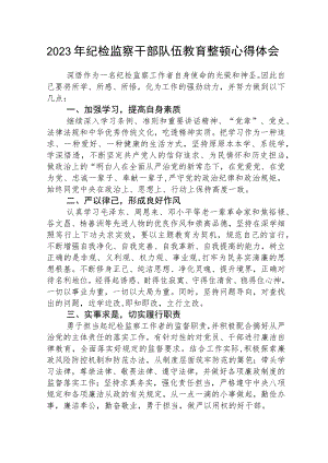 2023年纪检监察干部队伍教育整顿个人心得体会范文(参考三篇).docx