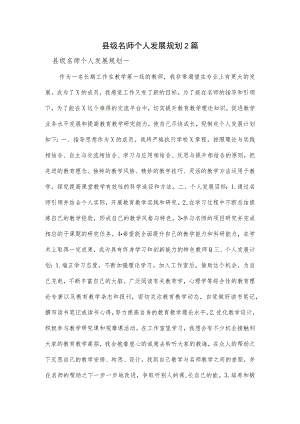 县级名师个人发展规划2篇.docx