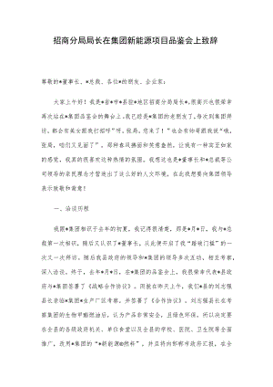 招商分局局长在集团新能源项目品鉴会上致辞.docx