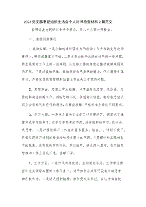 2023党支部书记组织生活会个人对照检查材料2篇范文.docx
