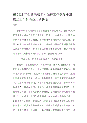 在2023年全县未成年人保护工作领导小组第二次全体会议上的讲话.docx