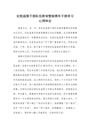 纪检监察干部队伍教育整顿青年干部学习心得体会（3篇）范本.docx