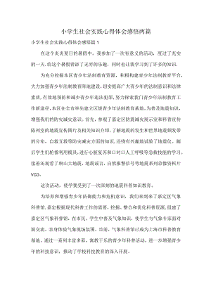 小学生社会实践心得体会感悟两篇.docx