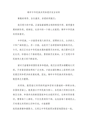铸牢中华民族共同体意识发言材料.docx