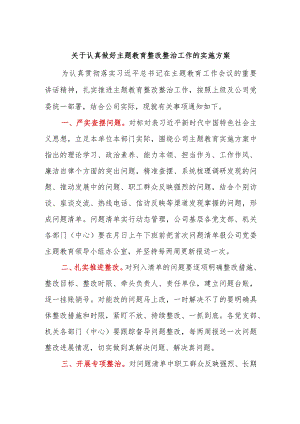 主题教育整改整治工作的实施方案.docx