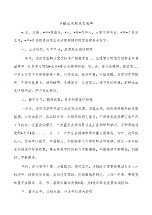 乡镇试用期现实表现.docx