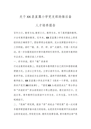 关于XX县直属小学党支部助推后备人才培养报告.docx