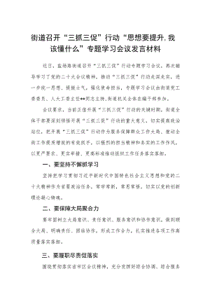 街道召开“三抓三促”行动“思想要提升我该懂什么”专题学习会议发言材料（3篇）.docx