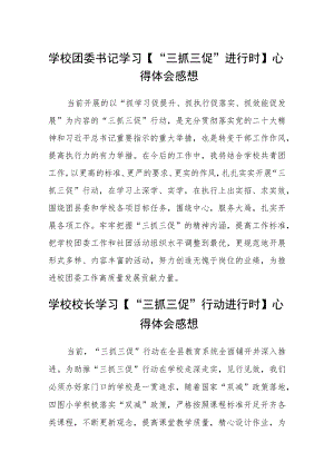 （共三篇）学校团委书记学习【“三抓三促”进行时】心得体会感想.docx