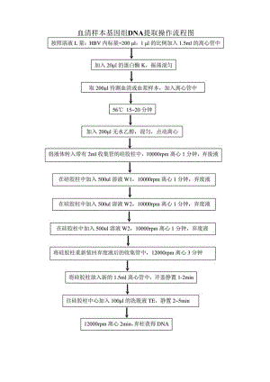 血清样本基因组DNA提取操作流程图.docx