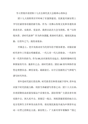 大学生学习贯彻共青团第十九次全国代表大会精神个人心得体会 5份.docx