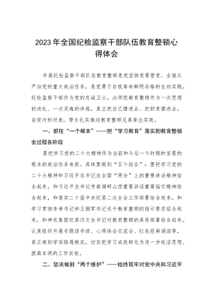 2023年纪检监察干部队伍教育整顿心得体会七篇.docx