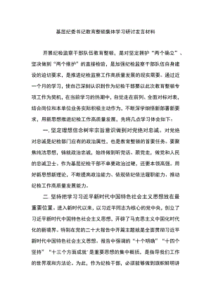 基层纪委书记教育整顿集体学习研讨发言材料2.docx
