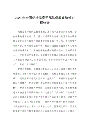 关于2023年纪检监察干部队伍教育整顿活动心得体会七篇范例.docx