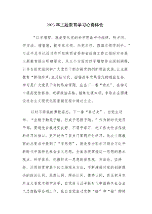 2023年主题教育学习心得体会和主题教育理论学习知识测试题（含答案）范文2篇.docx