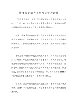 精准监督助力乡村振兴提质增效.docx
