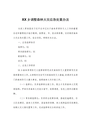 XX乡调整森林火灾应急处置办法.docx