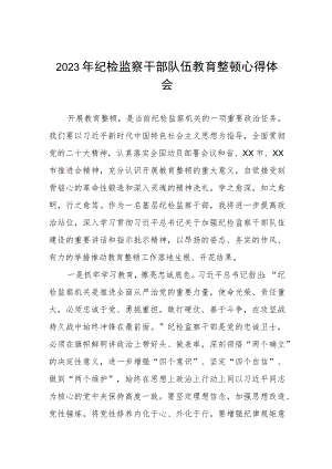 2023纪检监察干部队伍教育整顿活动心得体会材料七篇.docx