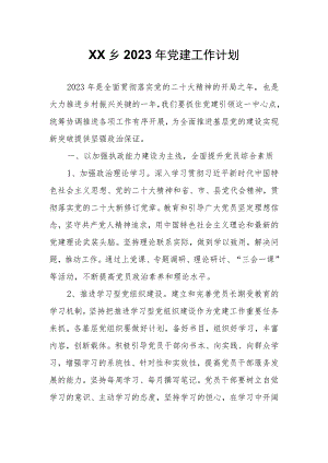 XX乡2023年党建工作计划.docx
