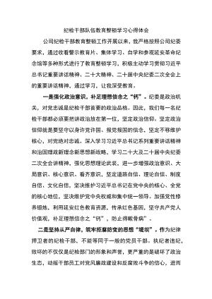 纪检干部队伍教育整顿学习心得体会.docx
