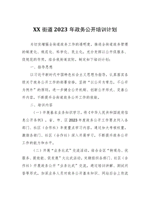 XX街道2023年政务公开培训计划.docx