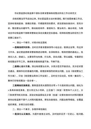 市纪委监委纪检监察干部队伍教育整顿检视整改阶段工作总结整治汇报报告.docx