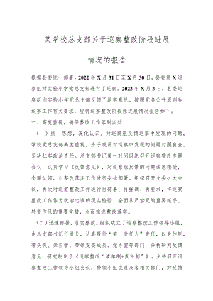 某学校总支部关于巡察整改阶段进展情况的报告.docx