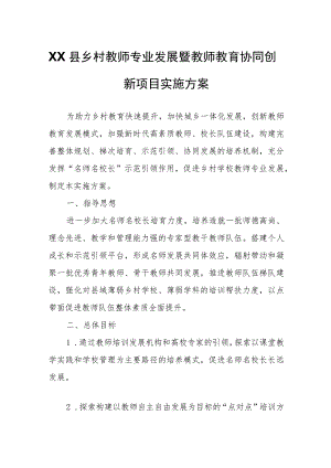 XX县乡村教师专业发展暨教师教育协同创新项目实施方案.docx