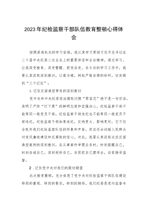 关于2023纪检监察干部队伍教育整顿的心得体会七篇汇编.docx