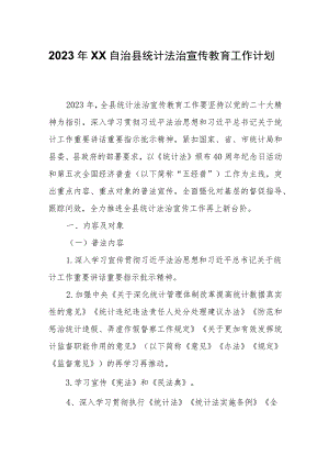 2023年XX自治县统计法治宣传教育工作计划.docx