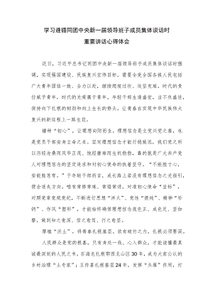 2.学习贯彻同团中央新一届领导班子成员集体谈话重要讲话心得体会3篇.docx